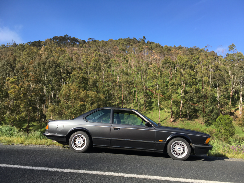 Illustration for article titled BMW 635CSi. Adelaide Hills. Springtime. Goodtime.